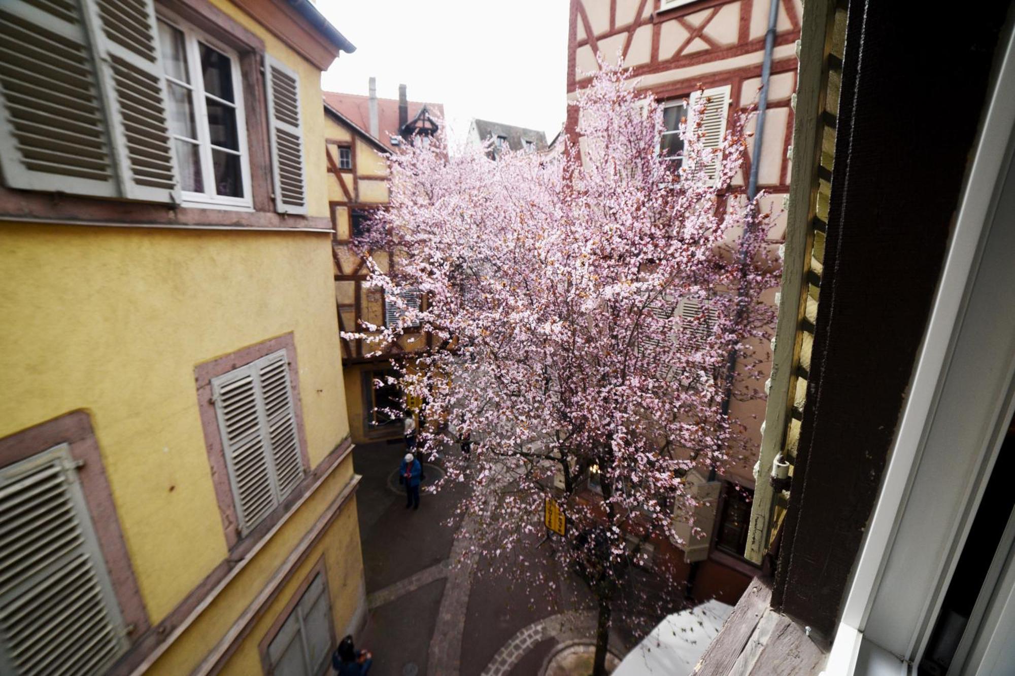 Gite Bim Maidala Colmar Eksteriør billede
